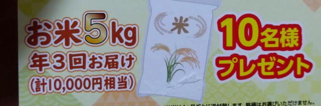 �^�C�A�b�v/����5�L���N3�񂨓͂�������/1�� 