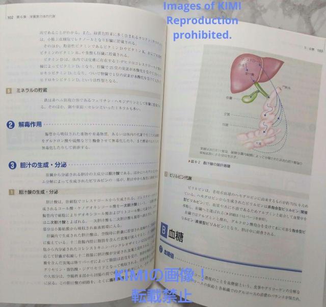 h{w 11 l̂̍\Ƌ@\ 3  nŌwu b  {/G 