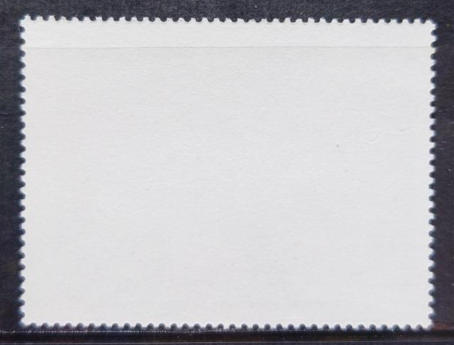 CO؎ gp؎ 1982N fBYj[ NX}X ^[NXEJCRX fBYj[f y~bL[̃NX}XLz  zr[ 