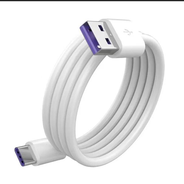 5A Type C USB 1m�����[�d�[�d�� �f�[�^�P�[�u�� �ɑΉ�MacBook/Galaxy/iPad /iphone/�Ή�  �� �Ɠd/AV�� 