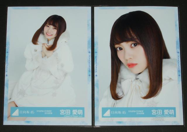 ������46 ���ʐ^�S���R���v�@�{�c���G�@�Ђ炪�Ȃ��肷�܂� �� �^�����g�O�b�Y�� 