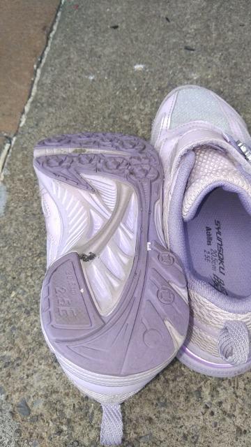 Achilles u QO.Tcm ̎q F Xj[J[ ^C  ^  LbY/xr[ 