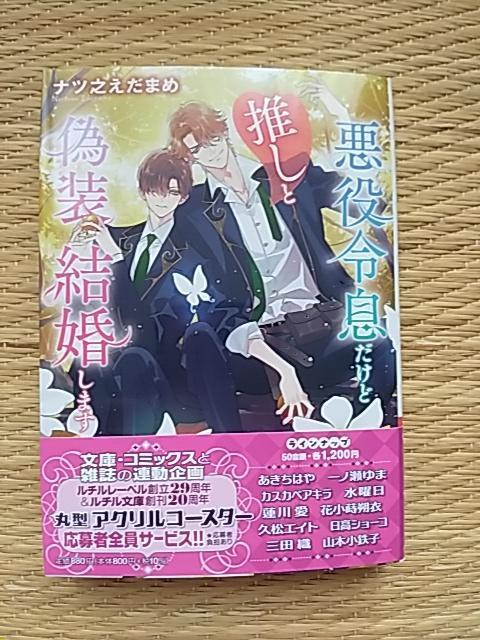 WV@@ߑǐƋU܂@@icV܂/ޗǐt 