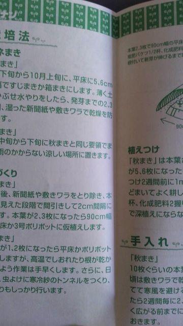 家庭菜園、キャベツ栽培方法冊子 きゃべつ < ペット/手芸/園芸  家庭菜園、キャベツ栽培方法冊子 きゃべつ < ペット/手芸/園芸の