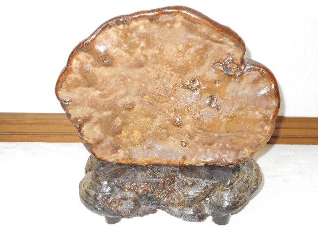 TmRVJP 2Zbg Ϗܗp 2.8L   CeA/Ct 