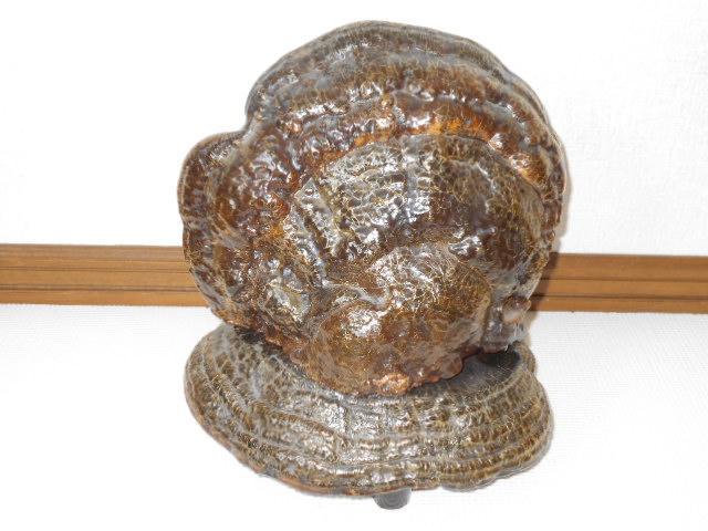 TmRVJP 2Zbg Ϗܗp 2.8L  CeA/Ct 