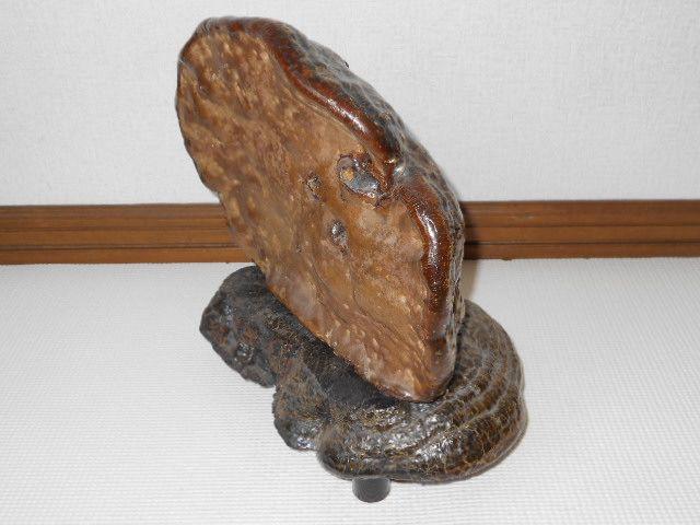 TmRVJP 2Zbg Ϗܗp 2.8L  CeA/Ct 