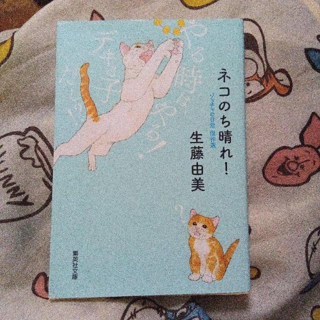 ネコのち晴れ! ゾッチャの日常 傑作選 < アニメ/コミック/キャラクター  ネコのち晴れ! ゾッチャの日常 傑作選  < アニメ/コミック/キャラクターの