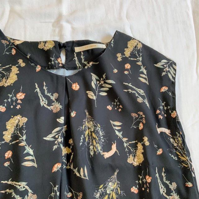 Ray Cassint[vgt`X[uuEX