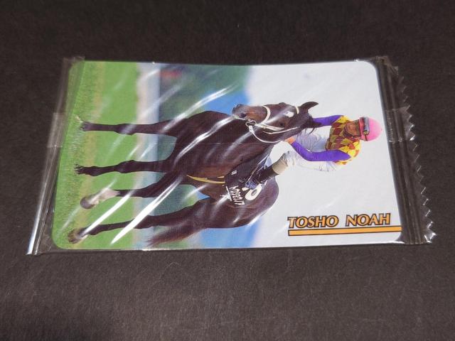 【未開封】まねき馬倶楽部 まねき馬カード レギュラーカード No.600 トウショウノア < トレーディングカード 【未開封】まねき馬倶楽部 まねき馬カード レギュラーカード No.600 トウショウノア < トレーディングカードの