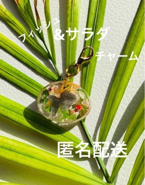 �t�B�b�V���T���_�@�`���[���@��������  �� �����t�@�b�V������ 