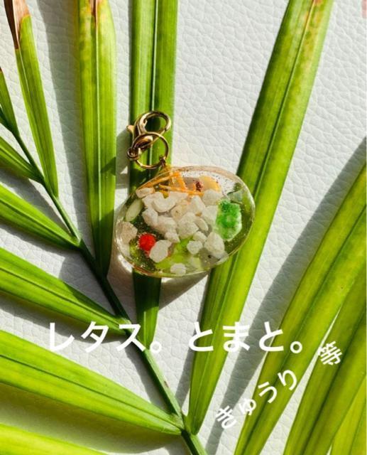 �t�B�b�V���T���_�@�`���[���@�������� �� �����t�@�b�V������ 