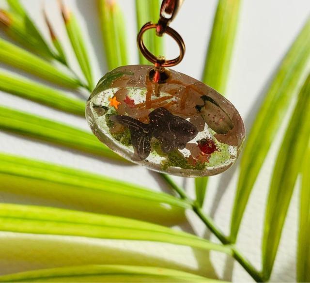 �t�B�b�V���T���_�@�`���[���@�������� �� �����t�@�b�V������ 