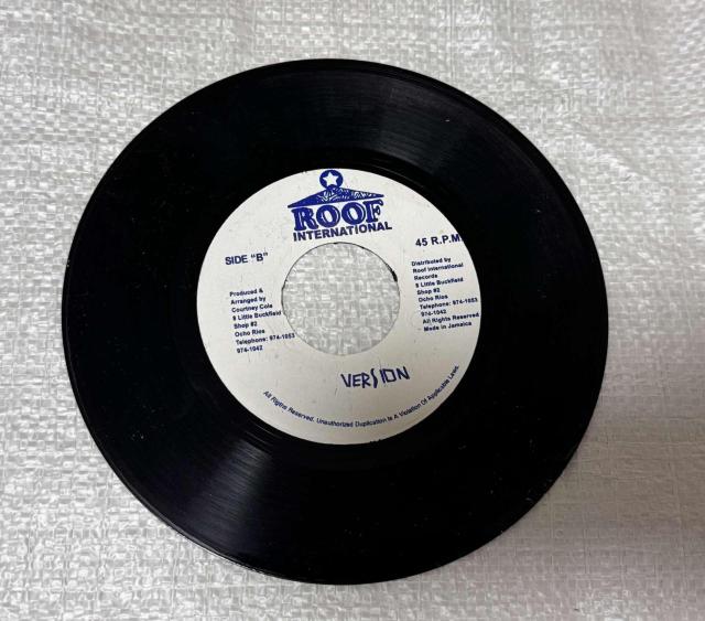 ROOF INTERNATIONAL KUNG FU FUTURE TROUBLE 7�C���` ���R�[�h ���Q�G DANCEHALL �� CD/DVD/�r�f�I�� 