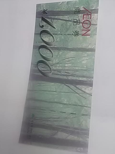 �C�I��1000�~��  �� �`�P�b�g/������ 