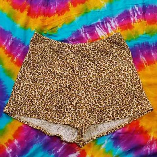 Gb(*L`)pɁ^V[p   t@bV 