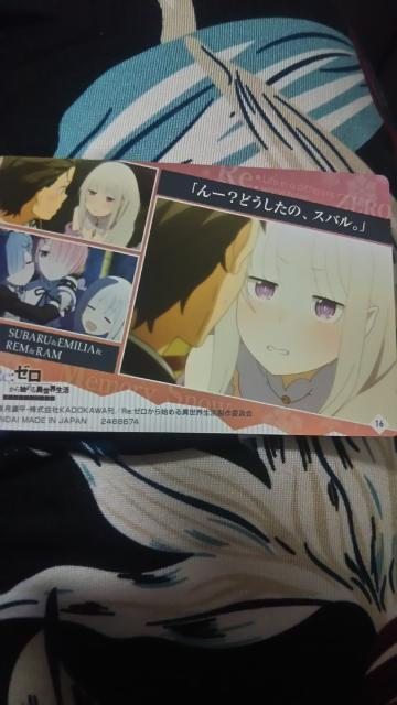 Re.ゼロから始める異世界生活*メタリックプラカードA < アニメ/コミック/キャラクター  Re.ゼロから始める異世界生活*メタリックプラカードA < アニメ/コミック/キャラクターの
