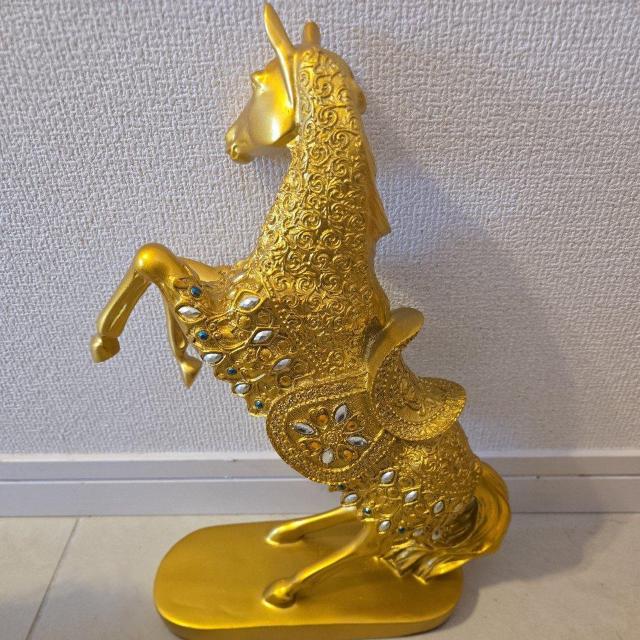 �n�u�� �� �C���e���A/���C�t�� 