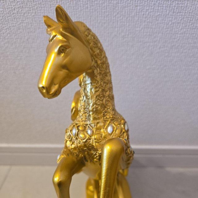 �n�u�� �� �C���e���A/���C�t�� 