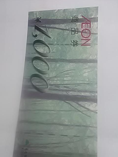 �C�I��1000�~��  �� �`�P�b�g/������ 