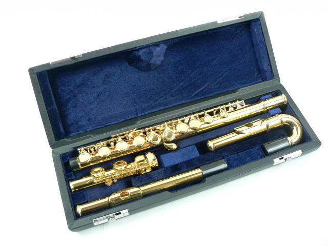 Fairyt[g 24KbLE16L[ECǁtǕtEVi   zr[ 