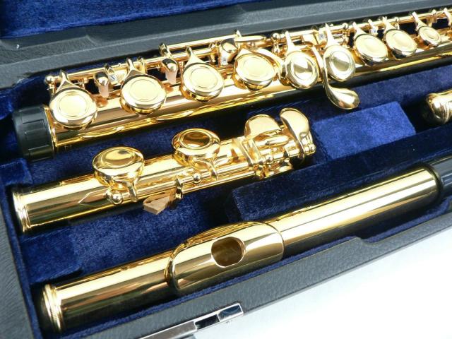 Fairyt[g 24KbLE16L[ECǁtǕtEVi  zr[ 