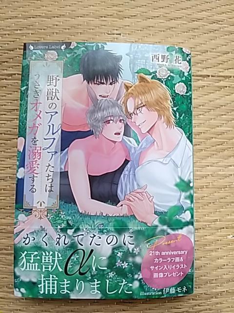 �S���V���@�@��b�̃A���t�@�����͂������I���K��M������@�����/�ޗǐ�t 