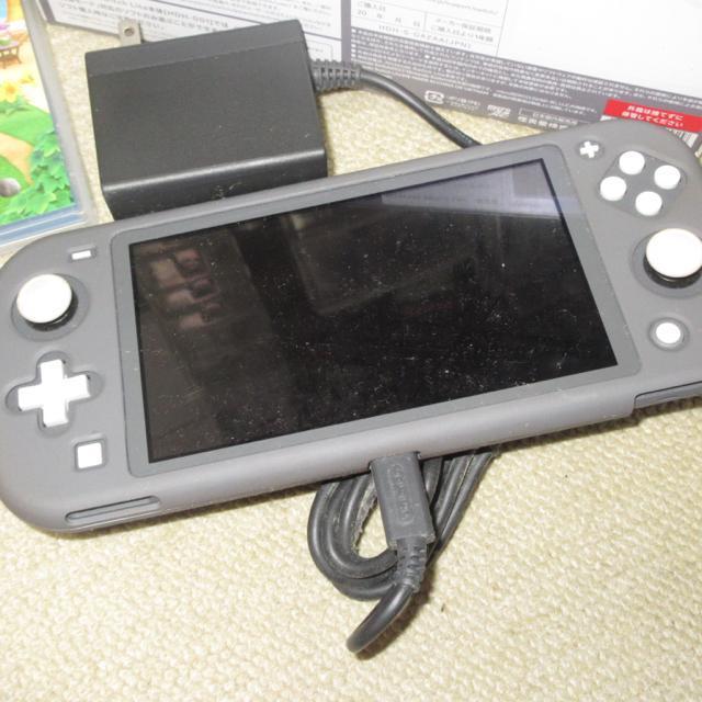 iCVSwitch LiteiO[j܂ ǂԂ̐X\tgZbg  Q[{/\tg 