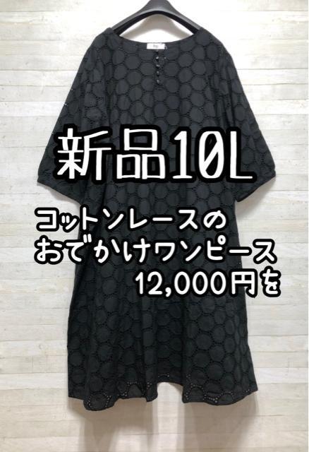 Vi10L􍕌nRbg[Xfނ̂os[X7Q531   t@bV 