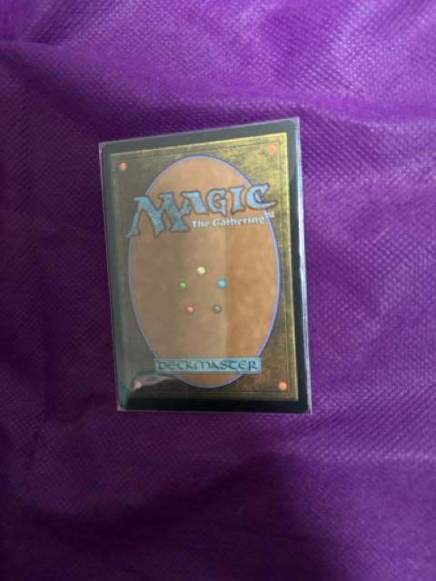 MTG FOIL �R�����`�����h�� �� �g���[�f�B���O�J�[�h�� 