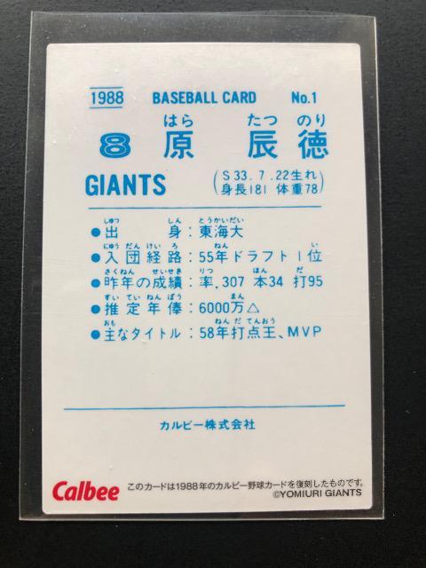 QOQQJr[Qe/ŃTCpłl-OTEǔlEC  g[fBOJ[h 