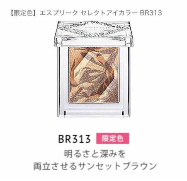 エスプリーク 限定アイシャドウ < ブランド  エスプリーク 限定アイシャドウ  < ブランドの