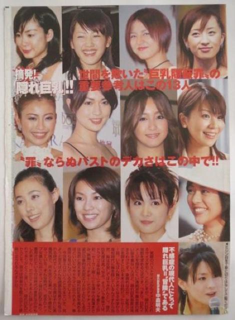 上戸彩、長澤まさみ、吹石一恵、綾瀬はるか、他の隠れ巨乳アイドル袋とじ < タレントグッズ  上戸彩、長澤まさみ、吹石一恵、綾瀬はるか、他の隠れ巨乳アイドル袋とじ < タレントグッズの