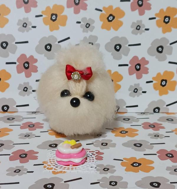 ふわふわ小さなマルチーズ < ペット/手芸/園芸 ふわふわ小さなマルチーズ < ペット/手芸/園芸の