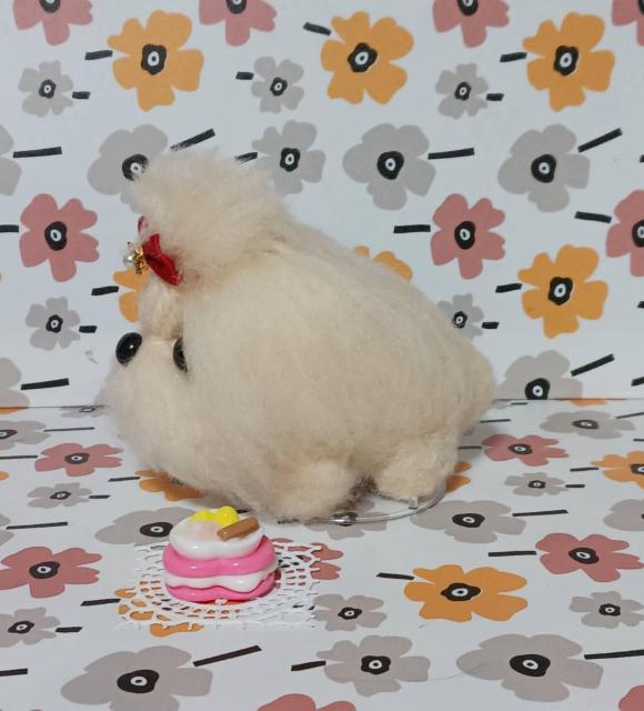 ふわふわ小さなマルチーズ < ペット/手芸/園芸 ふわふわ小さなマルチーズ < ペット/手芸/園芸の