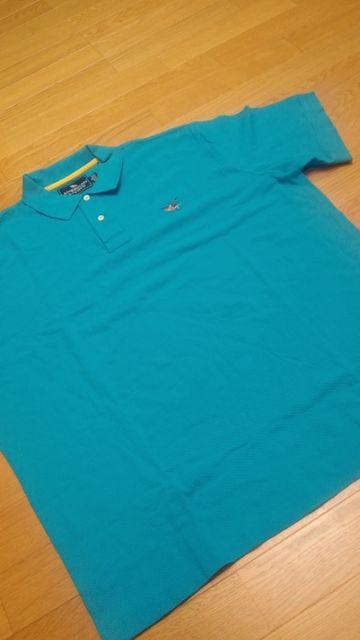 AMERICAN−LIVING 鷲 刺繍 カノコ半袖 スカイブルー サイズXXL→3XL位 < 男性ファッション  AMERICAN−LIVING 鷲 刺繍 カノコ半袖 スカイブルー サイズXXL→3XL位  < 男性ファッションの