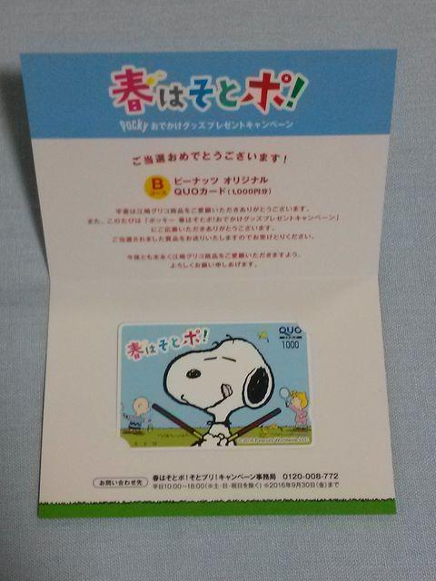 当選品◇グリコ ポッキー ピーナッツ オリジナルQUOカード 1000円分 スヌーピー◇ < ホビー  当選品◇グリコ ポッキー ピーナッツ オリジナルQUOカード 1000円分 スヌーピー◇  < ホビーの
