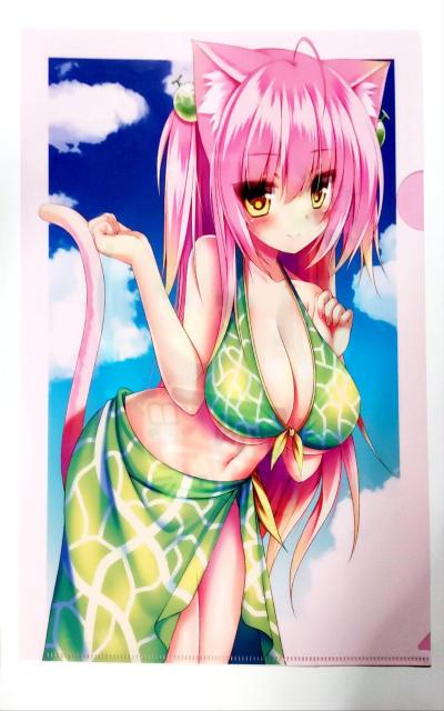 【クリアファイル】Syroh 福猫モフモフ/MELONBOOKSコミックマーケット96カタログ&リストバンド発売記念 < アニメ/コミック/キャラクター  【クリアファイル】Syroh 福猫モフモフ/MELONBOOKSコミックマーケット96カタログ&リストバンド発売記念  < アニメ/コミック/キャラクターの