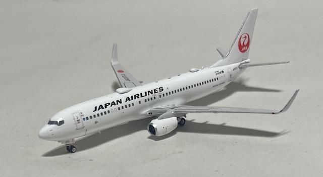 JAL B737-800 JA317J  �� �z�r�[�� 