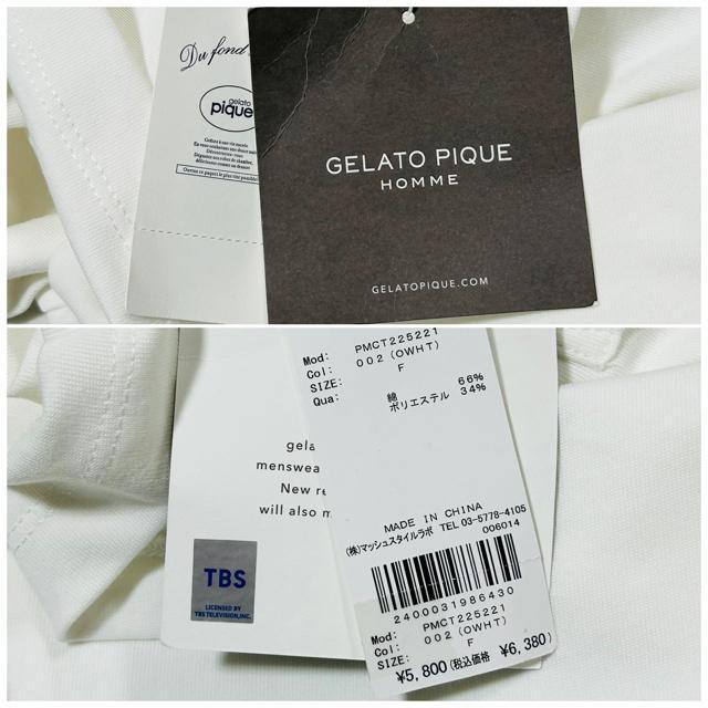 �V�i GELATO PIQUE HOMME �u8LOOM�v�����OT�V���c �� �u�����h�� 