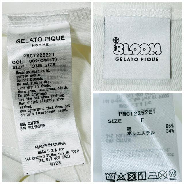 �V�i GELATO PIQUE HOMME �u8LOOM�v�����OT�V���c �� �u�����h�� 