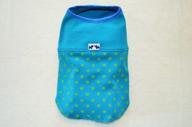 ʃm[X[usVcSTiu[j  ybg/|/| 