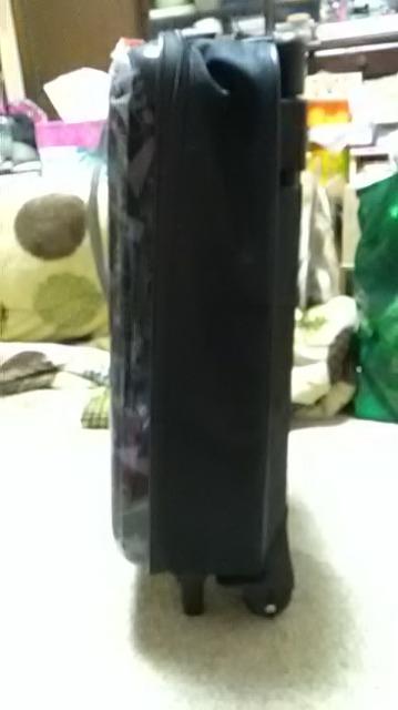 レア!キスマイ!キャリーバック < タレントグッズ  レア!キスマイ!キャリーバック < タレントグッズの