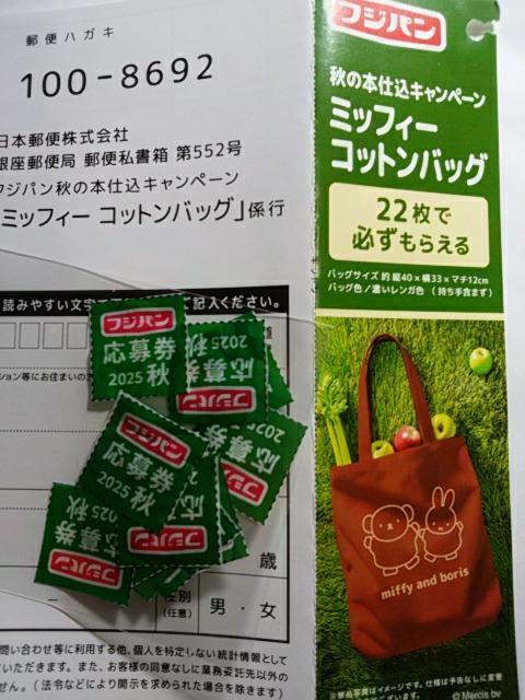 tWp H̖{dLy[ ~btB[ RbgobO 匔14 nKL1   `Pbg/ 