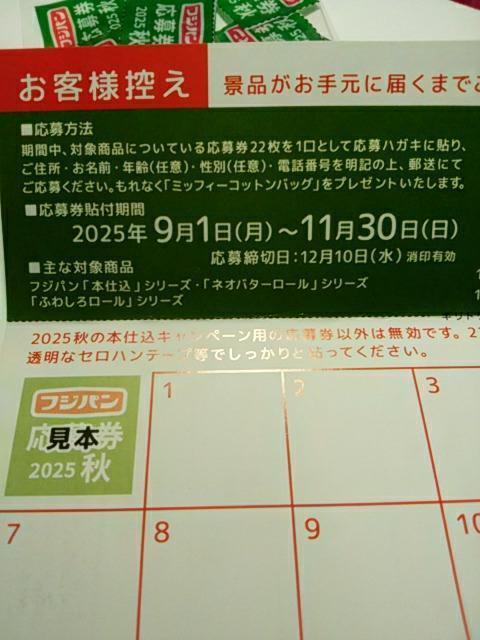 tWp H̖{dLy[ ~btB[ RbgobO 匔14 nKL1  `Pbg/ 