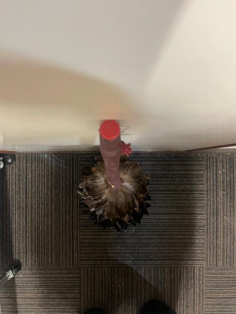 高級 羽根はたき ME-200 フェザーダスター 仏壇 神棚 車内清掃 < インテリア/ライフ 高級 羽根はたき ME-200 フェザーダスター 仏壇 神棚 車内清掃 < インテリア/ライフの