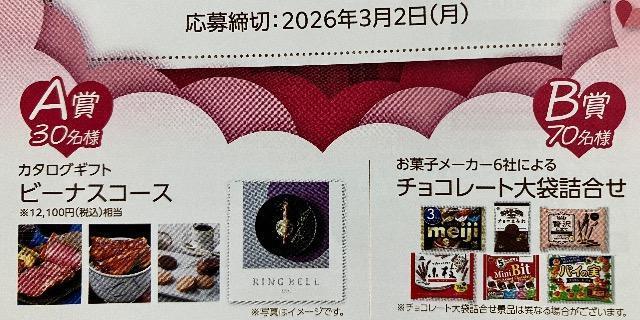 タイアップ☆12000円相当カタログギフト/チョコレート詰め合わせ/100名様1口 < チケット/金券 タイアップ☆12000円相当カタログギフト/チョコレート詰め合わせ/100名様1口 < チケット/金券の