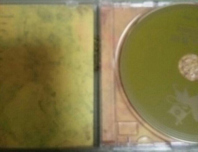 ベストCD スピナビル&ザ.ケイヴマンズ REAL GROOVE 帯なし < タレントグッズ  ベストCD スピナビル&ザ.ケイヴマンズ REAL GROOVE 帯なし < タレントグッズの