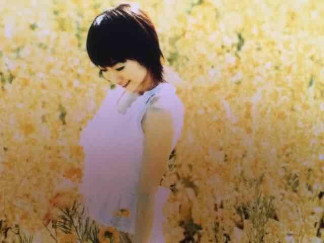 激安!超レア!☆水樹奈々/パノラマ☆初回限定盤☆超美品!☆ < タレントグッズ  激安!超レア!☆水樹奈々/パノラマ☆初回限定盤☆超美品!☆ < タレントグッズの