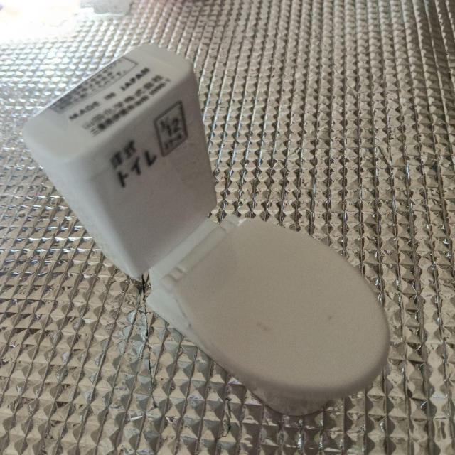 �g�C�� �~�j�`���A �z���C�g  �� �C���e���A/���C�t�� 